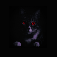 Torba szkolna czarny kot