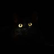 Torba szkolna Oczy Kota