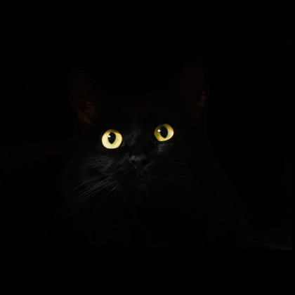 Torba szkolna Oczy Kota