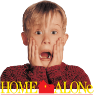 HOME ALONE - bluza chłopięca