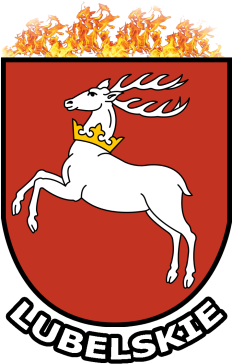 Koszulka lubelskie