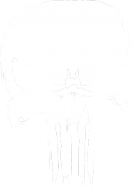czaszka punisher skull t-shirt