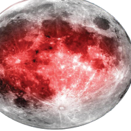 Maseczka kolorowa "Moon"
