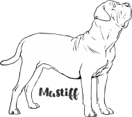 Mastif