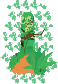 Koszulka z lasem tropikalnym (mniejsza)