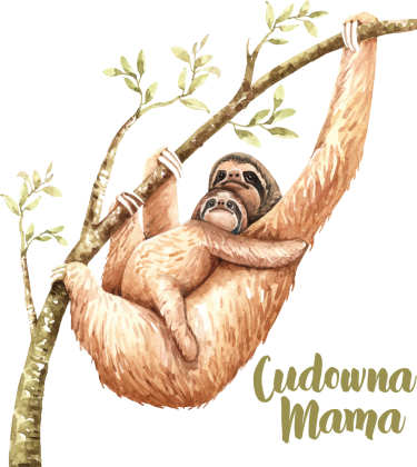 Cudowna mama leniwiec