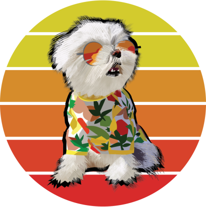 Maltańczyk retro