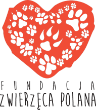 Koszulka Fundacja Zwierzęca Polana