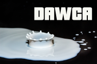 Bluza Dawcy