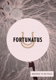 Fortunatus (IV) plakat
