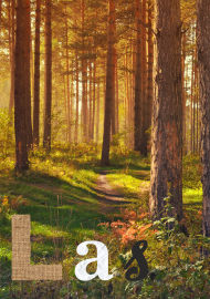 Plakat przedstawiający las
