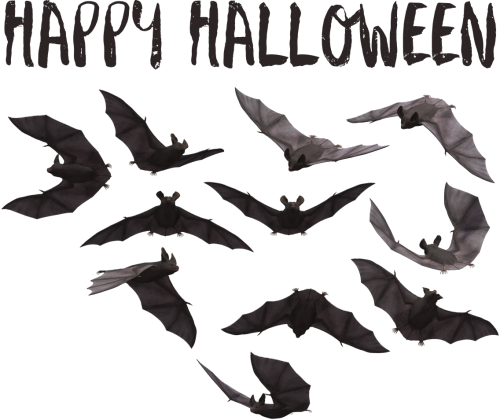 Happy Halloween - koszulka dla chłopczyka z nadrukiem na Halloween