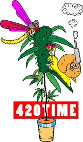 #420Time m