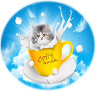 Crazy Coffie Cat