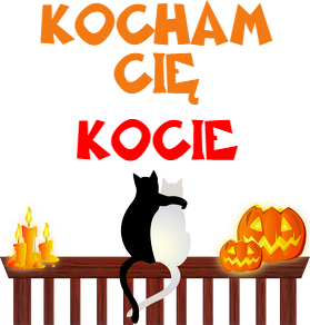 Kubek Kocham Cię Kocie 2