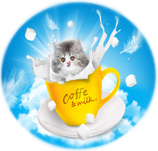 Crazy Coffie Cat
