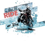 Wheelie Ride or Die