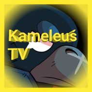 Koszulka Kameleuś TV 9-11 lat