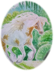 KOŃ IZABELOWATO-SROKATY  - GYPSY VANNER HORSE - GAJA'S TRUE VIBES ©DH - BODY NIEMOWLĘCE Z KONIEM