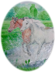 KONIE ARABSKIE  - ARABIAN HORSES FAMILY IN THE WATER ©DH - BODY NIEMOWLĘCE Z KOŃMI