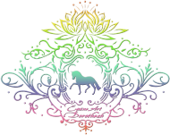 KOSZULKA Z DŁUGIM RĘKAWEM DAMSKA Z KONIEM  - Emblem with a Rainbow Dressage horse and a lotus ©DH