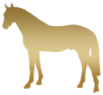 KOSZULKA POLO MĘSKA Z KONIEM NADRUK Z 2 STRON - Emblem with a Oldenburger Stallion Horse and a Lotus ©DH