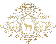 EKO TORBA Z KONIEM - Emblem with a Oldenburger Stallion Horse and a Lotus ©DH