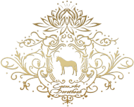 BLUZA DAMSKA  Z KONIEM - Emblem with a Oldenburger Stallion Horse and a Lotus ©DH
