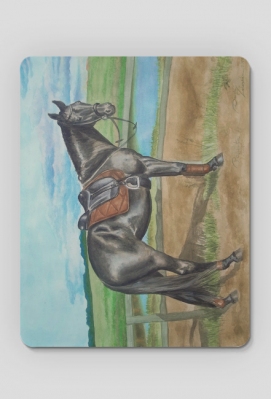 KOŃ WIERZCHOWY PÓŁKRWI - POŚWIATA ©DH -PODKŁADKA POD MYSZKĘ - ART - DH