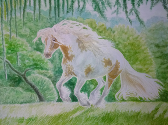 KOŃ IZABELOWATO-SROKATY  - GYPSY VANNER HORSE - GAJA'S TRUE VIBES ©DH - TORBA Z KONIEM-  NADRUK Z 2 STRON