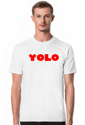 YOLO T-shirt - FunnySpider