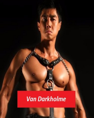 Podkładka VAN DARKHOLME