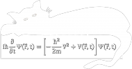 Równanie Schrödingera. T-shirt damski, ciemne tło