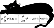 Równanie Schrödingera. T-shirt damski, jasne tło