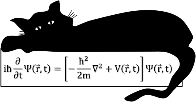 Równanie Schrödingera. T-shirt damski, jasne tło