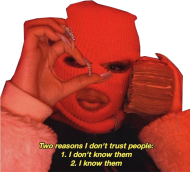 Hoodie Don't Trust People