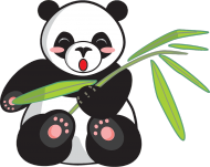 Body bawełniane z pandą
