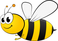Body bawełniane z pszczółką