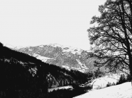 Bluzka dziecięca, chłopięca z nadrukiem - góry Alpy Austria