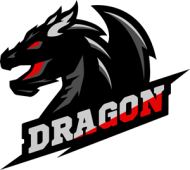 Koszulka Dragon