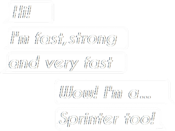 Sprinter