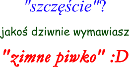zimne piwko - koszulka
