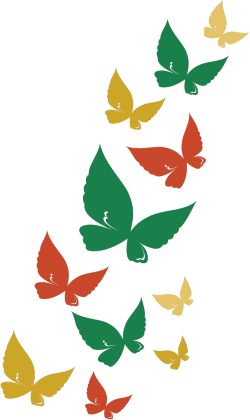 koszulka z obustronnym nadrukiem w motyle