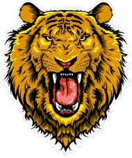 Maseczka kolorowa "Lion"