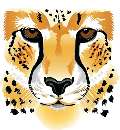 Maseczka kolorowa "Tiger"