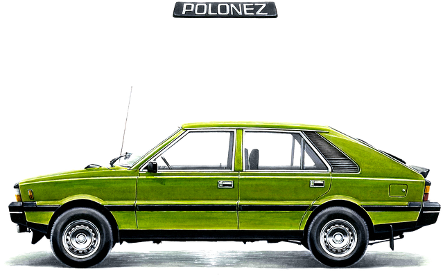 Długi rękaw - 1978 FSO POLONEZ MR'78