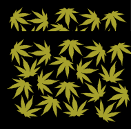 Maseczka kolorowa - marijuana