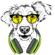 Koszulka damska Gildan - Pies w żółtych okularach