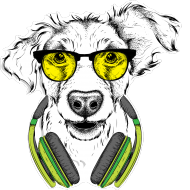 Maseczka - Pies w żółtych okularach