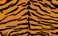 Maseczka Tygrys koronawirus